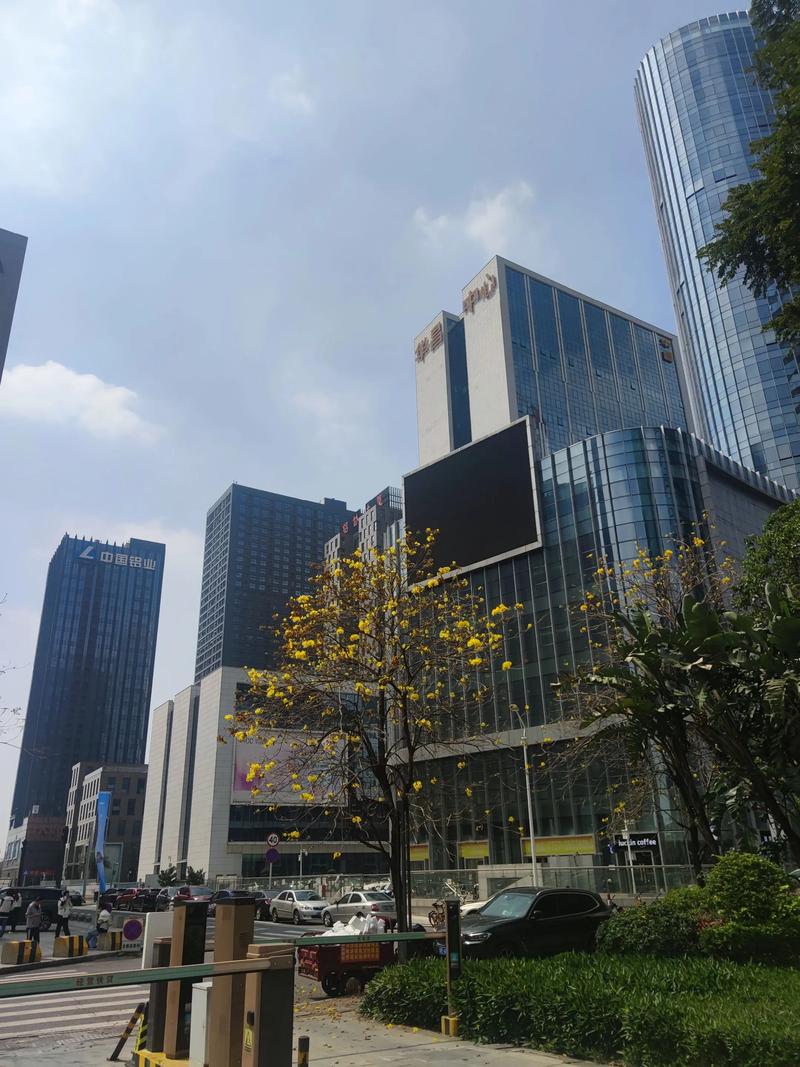 海口房地产：洞悉市场先机